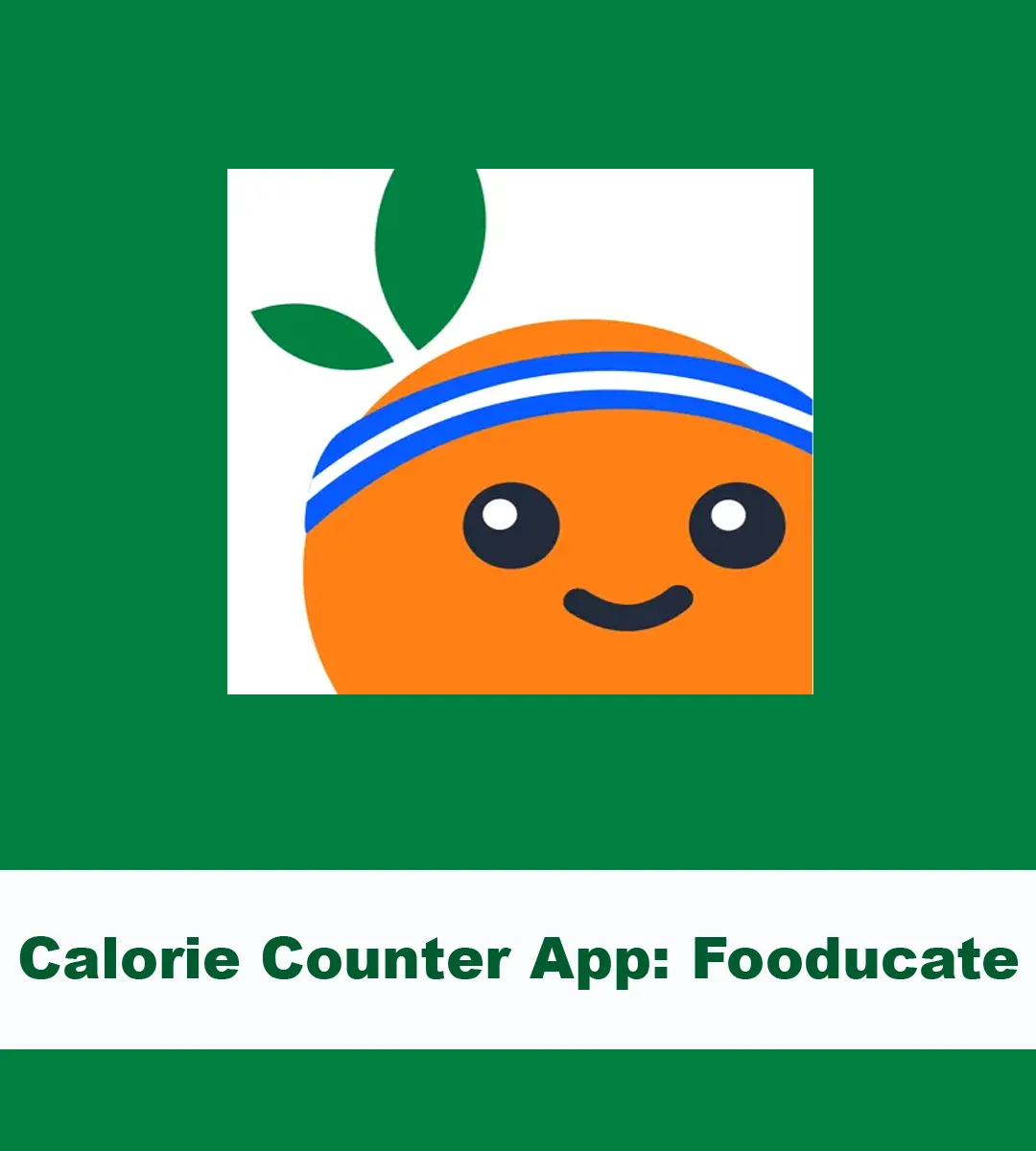 Calorie Counter App: Fooducate